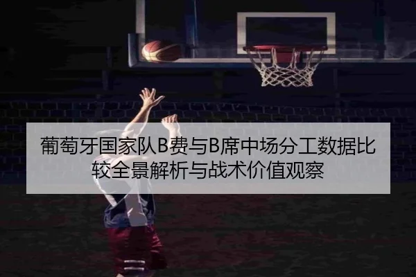 葡萄牙国家队B费与B席中场分工数据比较全景解析与战术价值观察